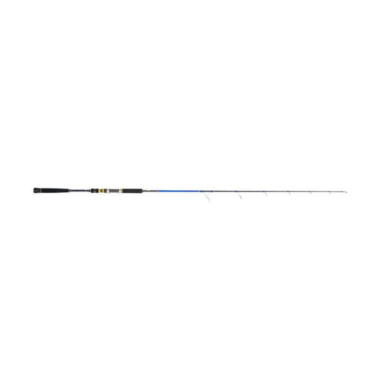Caña Rayforce XBR Clasic Jigging