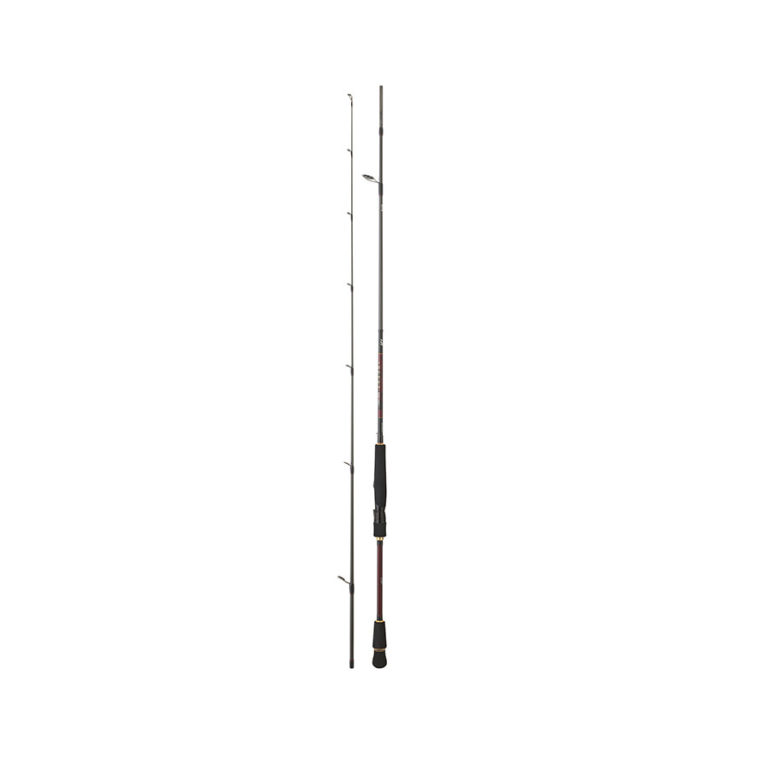 Caña Infeet Distance Cast Sea Bass 902MHFS