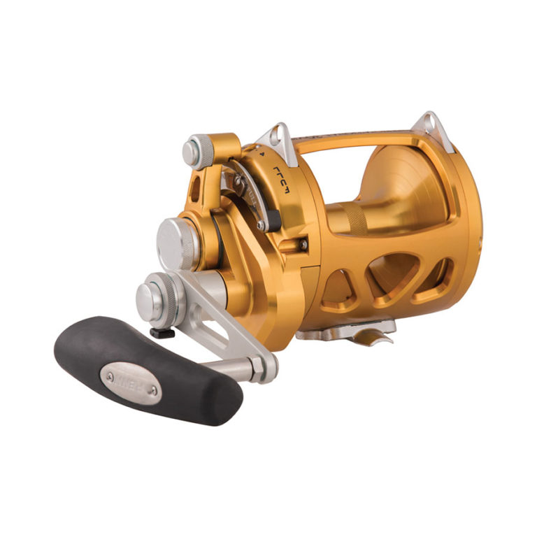 Carrete International VI GLD 2018